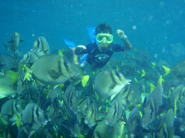  snorkeling in Huatulco 